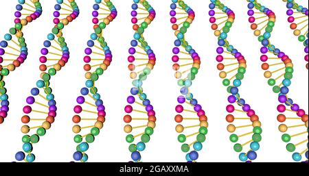 color visualization of DNA analysis isolated on white background 3d rotation animation, for montage and medical training. High quality image Stock Photo