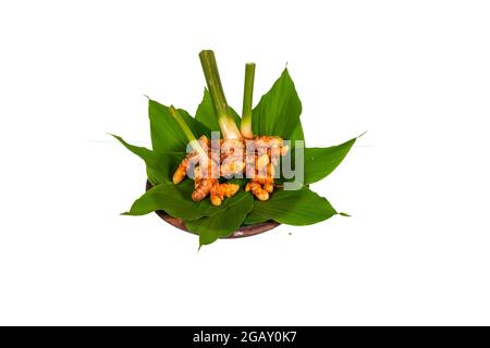 turmeric root, and ground spice Stock Photo