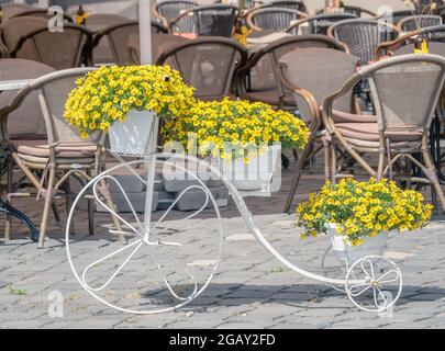 Vintage ornament decorative bicycle with small yellow flowers in flower pots, in Timisoara, Romania. Stock Photo