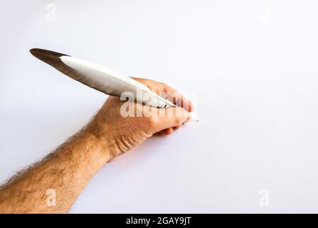 hand writing with a bird feather isolated on white background Stock Photo