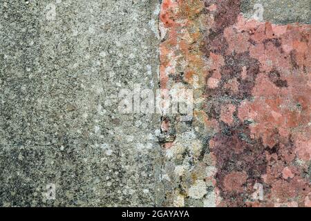 Old distressed cement wall with lichens, grunge texture or background Stock Photo