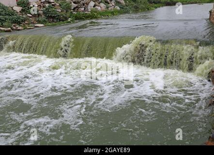 Beawar, Rajasthan, India, August 1, 2021: A pond overflows due to heavy rain during the monsoon season in Beawar. Credit: Sumit Saraswat/Alamy Live News Stock Photo