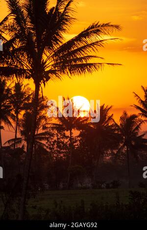 Tropical Sunset Stock Photo - Download Image Now - Sunset, Sky