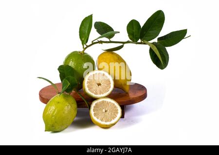 Lemons Hanging on a Lemon tree Stock Photo