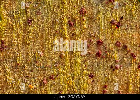 Background from different paints on the wall. Stock Photo