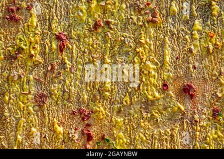 Background from different paints on the wall. Stock Photo
