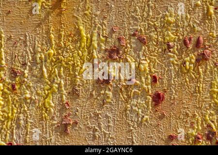 Background from different paints on the wall. Stock Photo