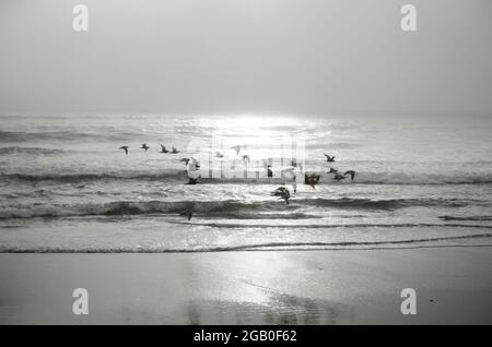 Dillon Beach, CA Stock Photo