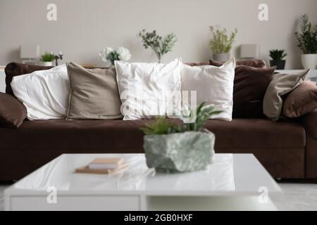 Soft comfortable velvet couch in empty living room with nobody Stock Photo