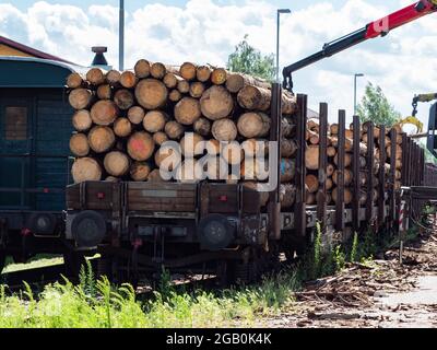 Crane loading cut logs on a railcar.  Transport of spruce logs Stock Photo