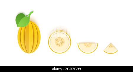 Set of melon berry sliced paper citrus fruit sliced whole, triangular and round slices, design for any purpose. Summer citrus, juicy food. Vector 3d Stock Vector