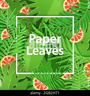 Paper cut white frame with heavy foliage and citrus grapefruit. Square frame lie on green jungle leaves and slice fruit. Vector card illustration with Stock Vector