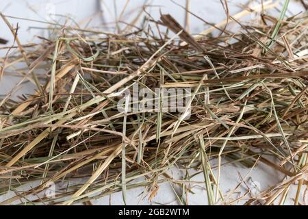 Hay from the alps for hamsters and rabbits Stock Photo