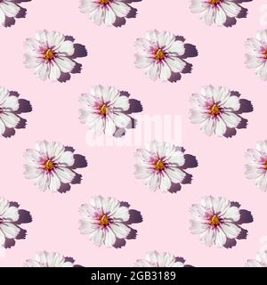 Trendy sunlight seamless pattern made with delicate flowers on pink background, as backdrop or texture. Minimal floral concept. Wallpaper for your des Stock Photo