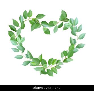 Heart made from green leaves isolated on white background. 3D render ...