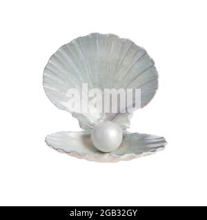 Pearl inside seashell isolated on white background Stock Photo