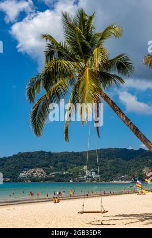Swing hanging from a palm tree, Patong Beach, Phuket, Thailand on a sunny day Stock Photo