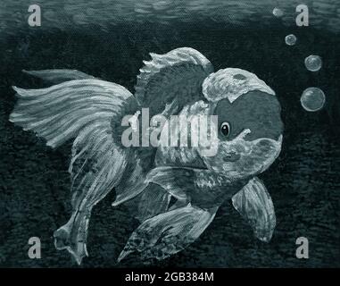 Oil painting of Fancy  goldfish pictures Auspiciousness in dark blue , black and white , monochrome Stock Photo