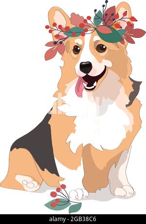 Steep autumn poster Corgi dog, vector cartoon illustration. Cute friendly welsh corgi puppy sitting, smiling with tongue out isolated on white. Pets, animals,canine theme design element in flat style Stock Vector