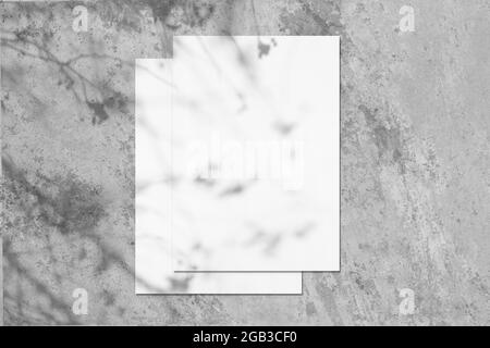Two empty white rectangle poster mockups with tree shadow Stock Photo