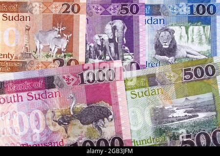 South Sudanese money a business background with new series of banknotes Stock Photo