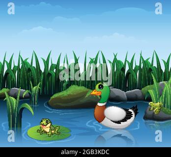 Ducks swim with frogs in the river Stock Vector