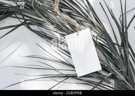 Summer tropical gift tag mock-up. Blank paper label and sisal rope on palm tree leaf. White table background in sunlight. Flat lay, top view. Empty Stock Photo