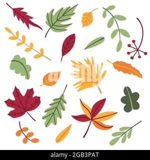 Set of autumn leaves and twigs in cartoon flat doodle style. Leaf of maple, oak and various trees. Objects, elements, cliparts, items for the design Stock Vector