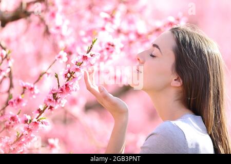 Profile of a woman smelling flowers in a pink field a sunny day Stock Photo