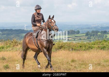 lady riding her horse side saddle Stock Photo