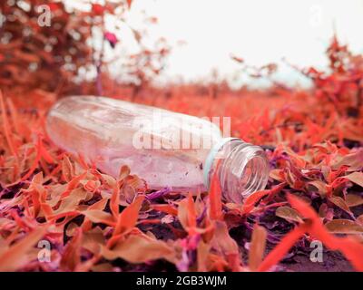 Liquor glass empty bottle lying on grass natural field, Nature pollution concept. Stock Photo