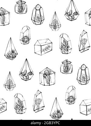 Hand drawn vector abstract stock flat graphic illustrations seamless pattern with succulent and cacti sketch drawing flowers in glass terrariums Stock Vector
