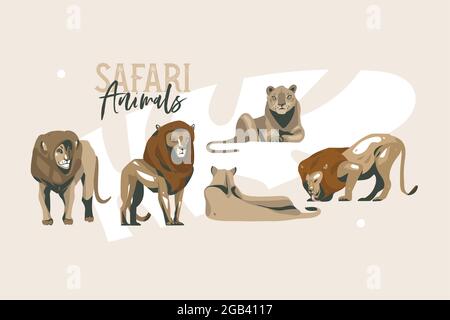Hand drawn vector stock abstract flat graphic illustration with African wild lion and lioness in the wild or zoo collection set,cartoon animal design Stock Vector