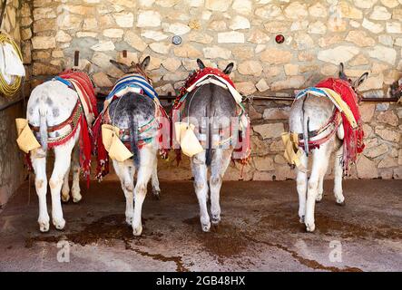 Donkey taxi landmark in Mijas white-washed spanish village. Lot of donkey taxis waiting for tourists to come and ride them through the village. Costa Stock Photo