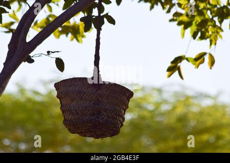 Hand made dates tree box tool, palm leaf dry jar hanging on wood in garden, brown background culture thing photo Stock Photo