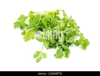 Fresh green vegan vitamin parsley isolated on white background Stock Photo