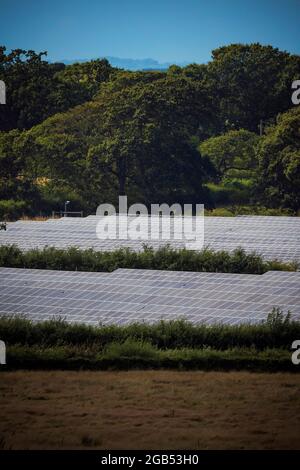 Massed solar panels in sunshine in rural setting Stock Photo