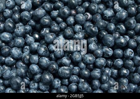 Fresh blueberries. Background, texture of blueberry berries close up Stock Photo