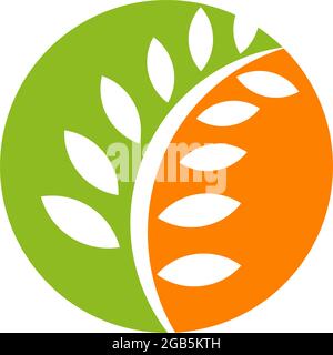 Wheat plant logo design vector template Stock Vector