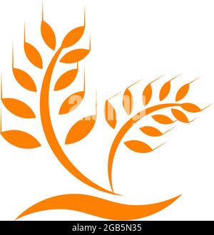 Wheat plant logo design vector template Stock Vector