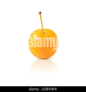 Yellow cherry plum isolated on white background with shadow and reflection. Stock Photo