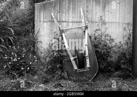 An old wheel barrow leans against a cement wall surrounded by overgrowth of weeds and flowers in a Missouri backyard. Portrays a sense of peace as wel Stock Photo