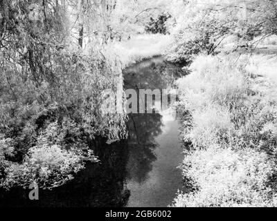 The River Kennet near Marlborough in Wiltshire, shot in infrared. Stock Photo