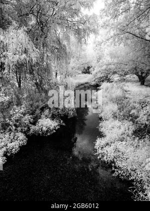 The River Kennet near Marlborough in Wiltshire, shot in infrared. Stock Photo