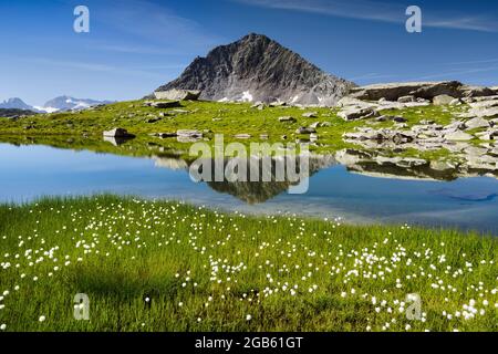 geography / travel, Switzerland, valais, ADDITIONAL-RIGHTS-CLEARANCE-INFO-NOT-AVAILABLE Stock Photo