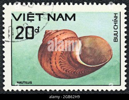 Postage stamp printed in Vietnam  shows Tapestry turban (Turbo petholatus). 'Nautilus' this is error,  series 'Shell', circa 1989