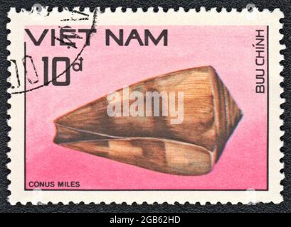 Postage stamp printed in Vietnam  shows a (Conus miles) Soldier cone, series "Shell", circa 1989 Stock Photo