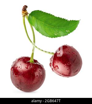 Cmposition of two cherries. Clipping path, isolated on white background Stock Photo