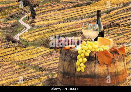 Autumn sunset over Wachau valley with bottle of wine on barrel against colorful vineyards in Austria Stock Photo