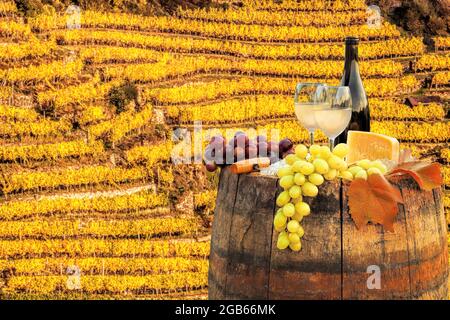 Autumn sunset over Wachau valley with bottle of wine on barrel against colorful vineyards in Austria Stock Photo